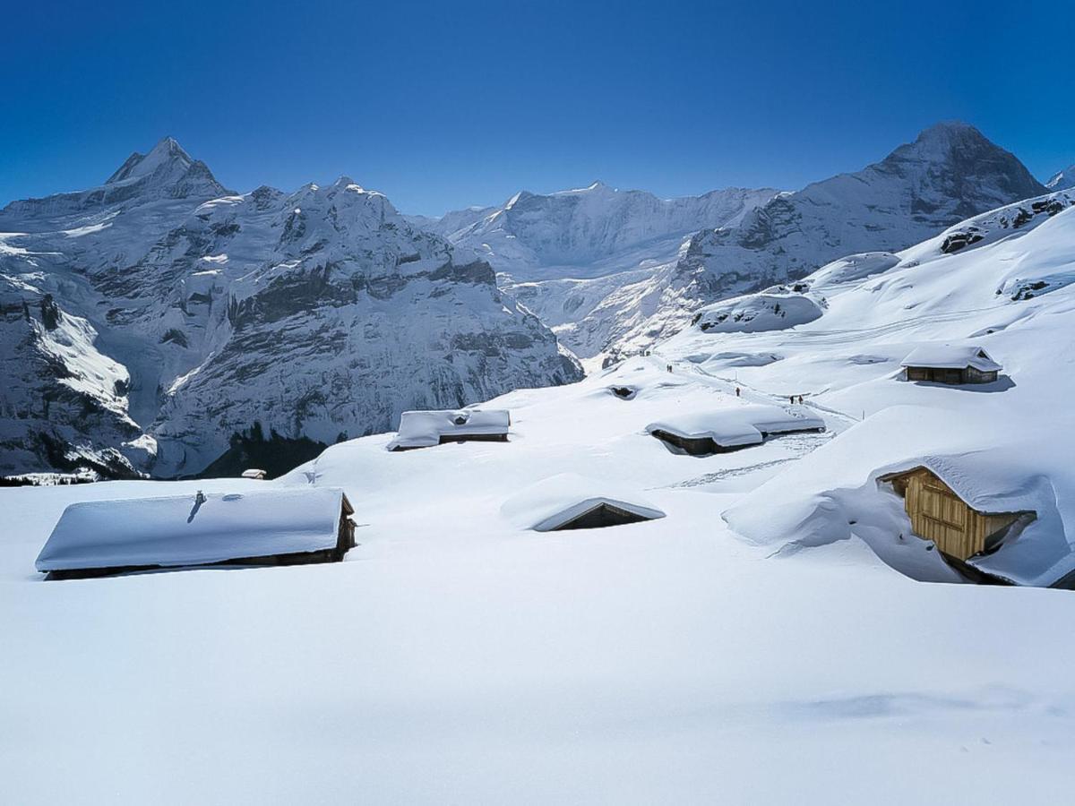 Apartment Schwendi 3 Grindelwald Exterior foto